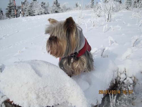 Erzgebirge-01-14 005