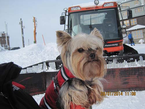 Erzgebirge-01-14 015