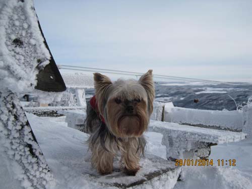 Erzgebirge-01-14 017