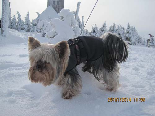 Erzgebirge-01-14 030