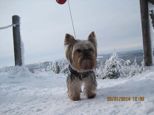 Erzgebirge-01-14 033