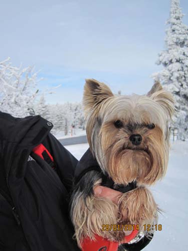 Erzgebirge-01-14 040