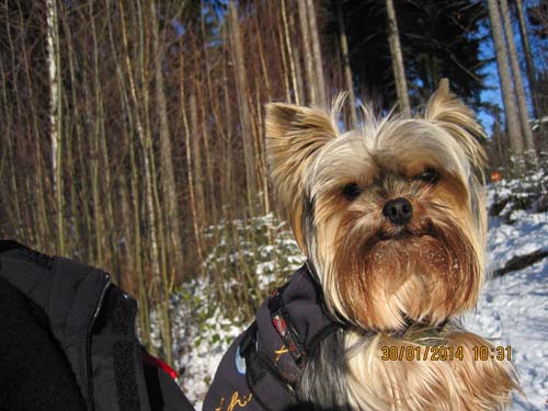 Erzgebirge-01-14 052