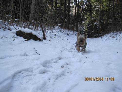 Erzgebirge-01-14 067