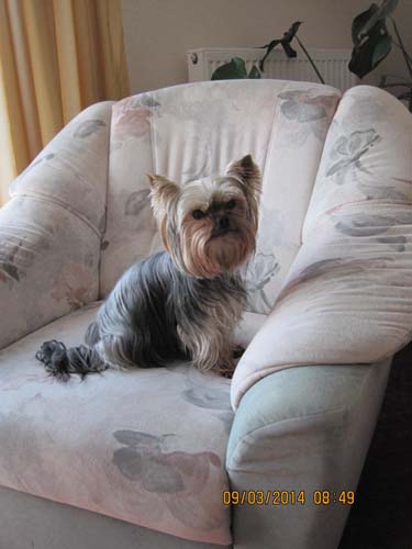 auch in unserer Unterkunft war es sehr gem�tlich 