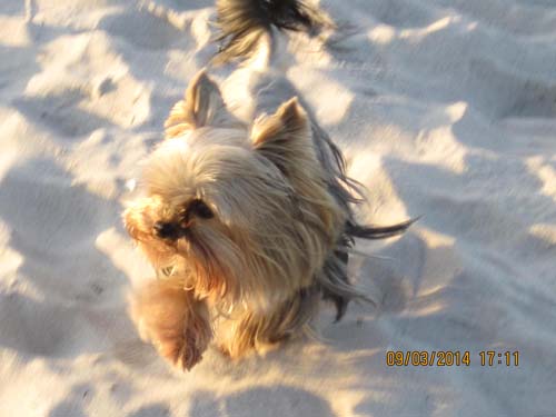 Boltenhagen 03-2014 046