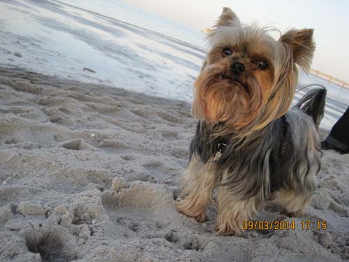 Boltenhagen 03-2014 051