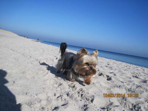 Boltenhagen 03-2014 056