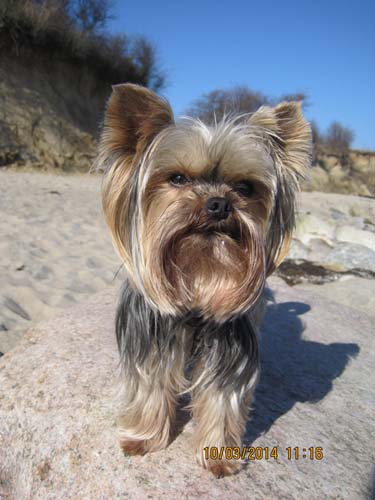 Boltenhagen 03-2014 059