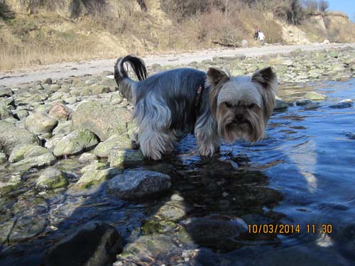 Boltenhagen 03-2014 075