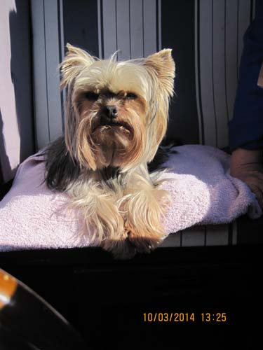 Boltenhagen 03-2014 094