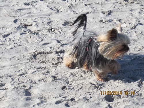 Boltenhagen 03-2014 118