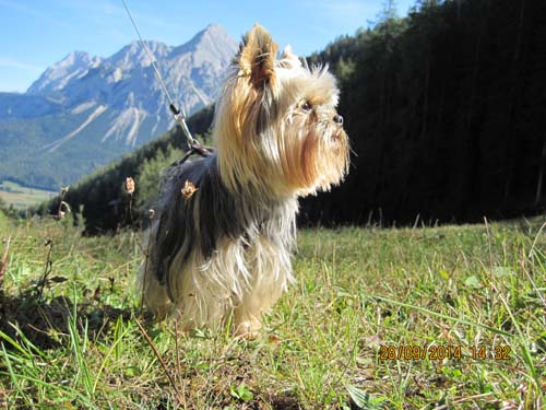 Zugspitzarena 2014 034
