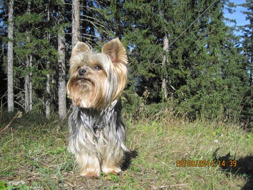 Zugspitzarena 2014 039