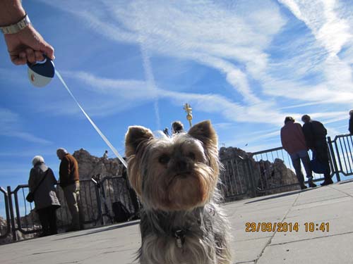 Zugspitzarena 2014 069