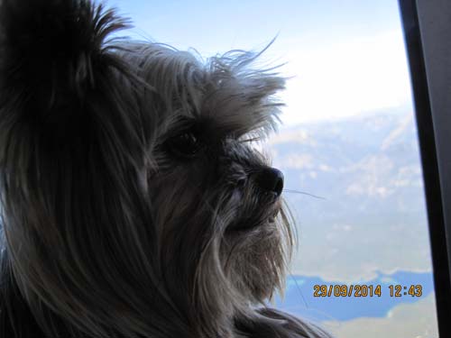 Zugspitzarena 2014 110