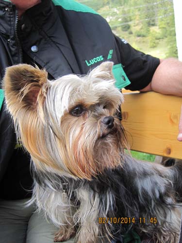 Zugspitzarena 2014 195