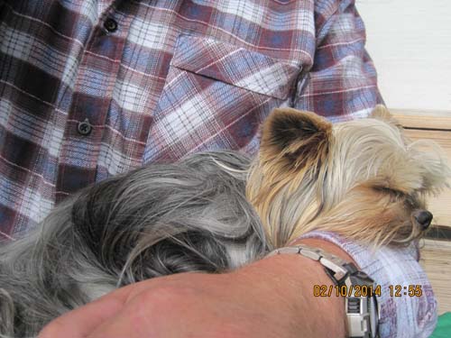 Zugspitzarena 2014 199