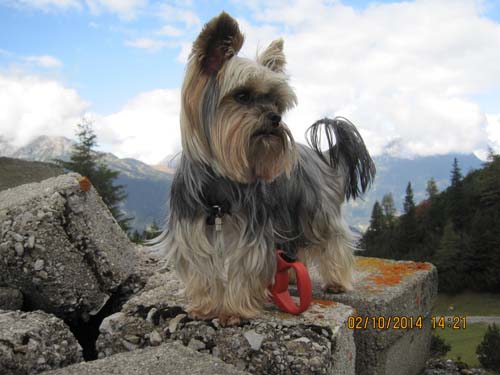 Zugspitzarena 2014 206