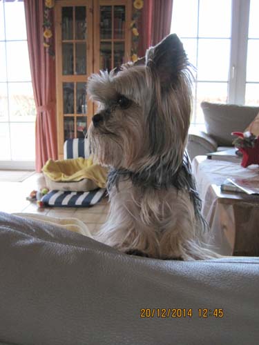 Weihnachten 2014-Nordsee 008