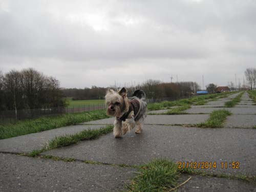 Weihnachten 2014-Nordsee 016