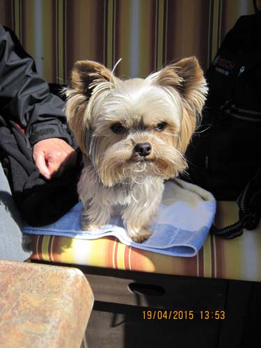 Boltenhagen 04-15 001