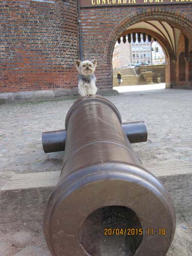 Boltenhagen 04-15 023