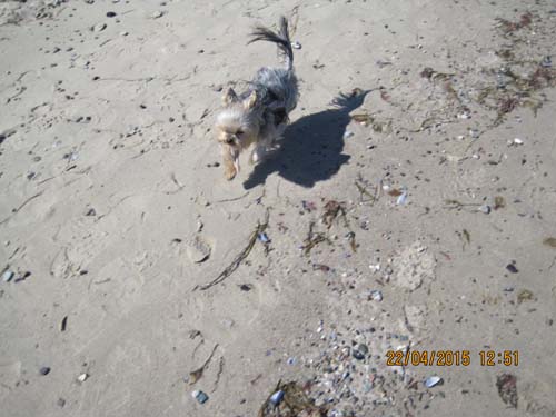 Boltenhagen 04-15 050