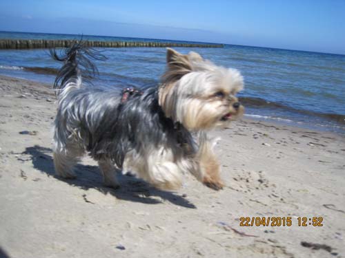 Boltenhagen 04-15 053