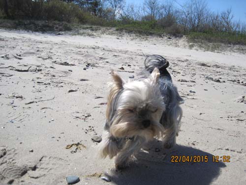 Boltenhagen 04-15 054