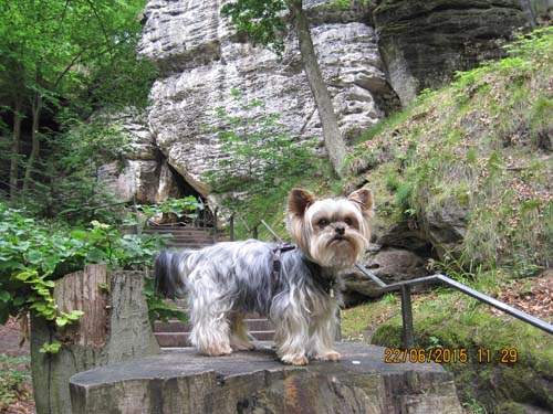 Lichtenhain 06-15 007