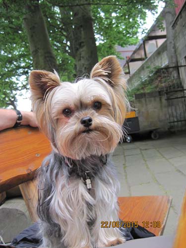 Lichtenhain 06-15 029