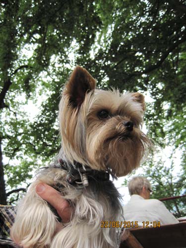 Lichtenhain 06-15 031