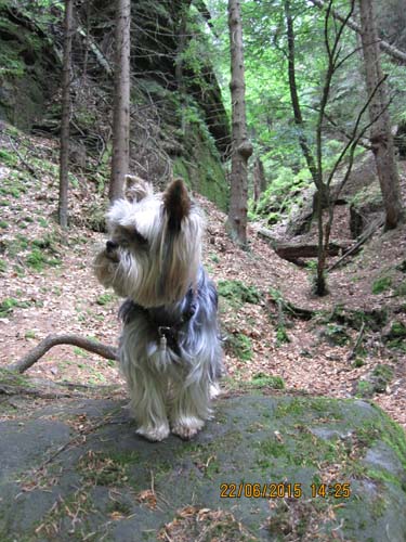 Lichtenhain 06-15 043