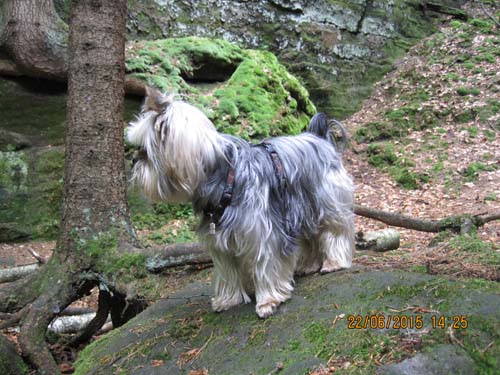 Lichtenhain 06-15 045