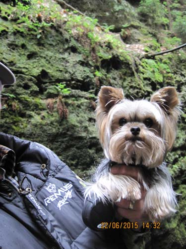 Lichtenhain 06-15 049