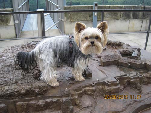 Lichtenhain 06-15 059