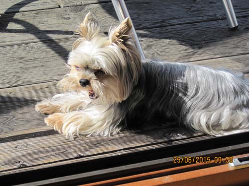 Lichtenhain 06-15 085