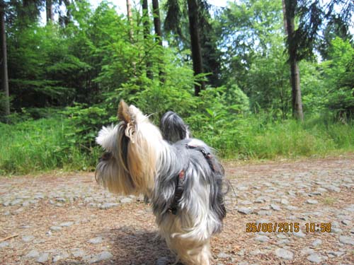 Lichtenhain 06-15 090