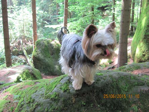 Lichtenhain 06-15 095