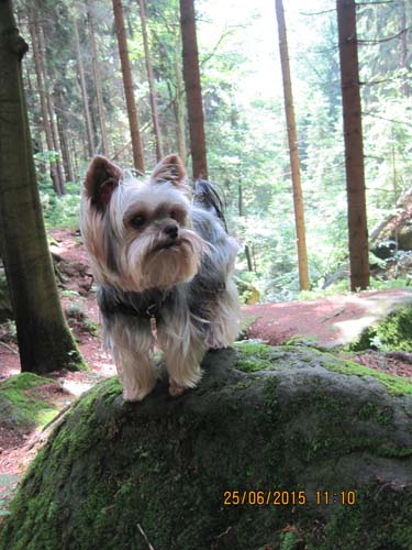 Lichtenhain 06-15 096