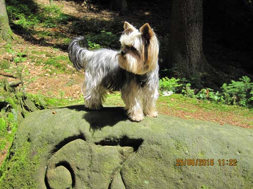 Lichtenhain 06-15 098