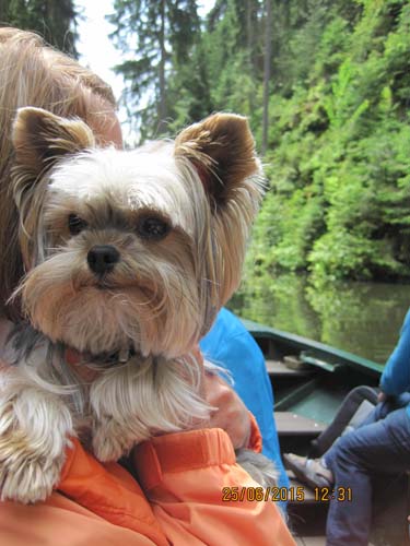 Lichtenhain 06-15 105