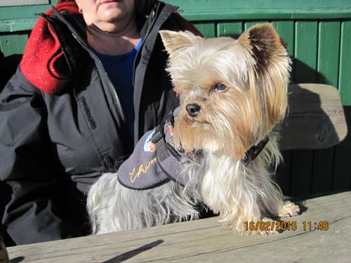 Hahnenklee-02-15 021