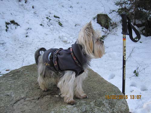 Hahnenklee-02-15 024