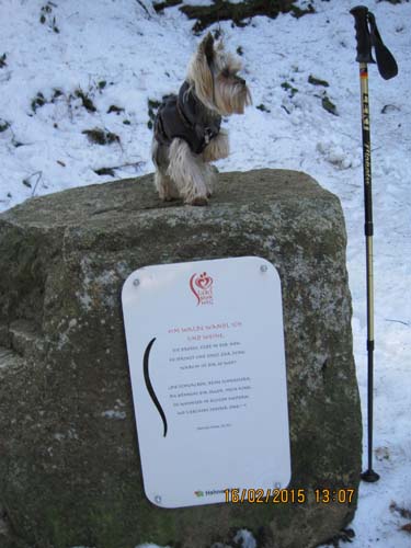 Hahnenklee-02-15 026