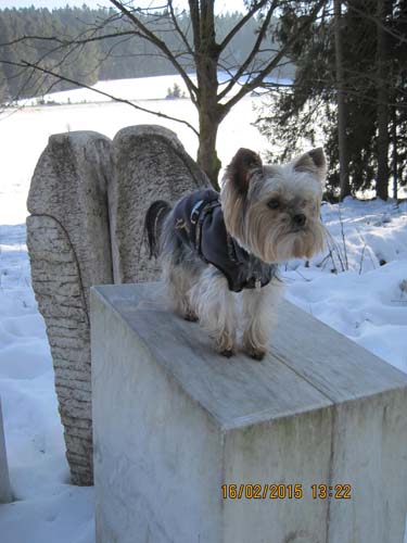 Hahnenklee-02-15 039