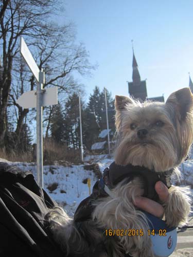 Hahnenklee-02-15 042