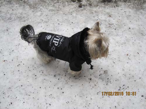 Hahnenklee-02-15 047